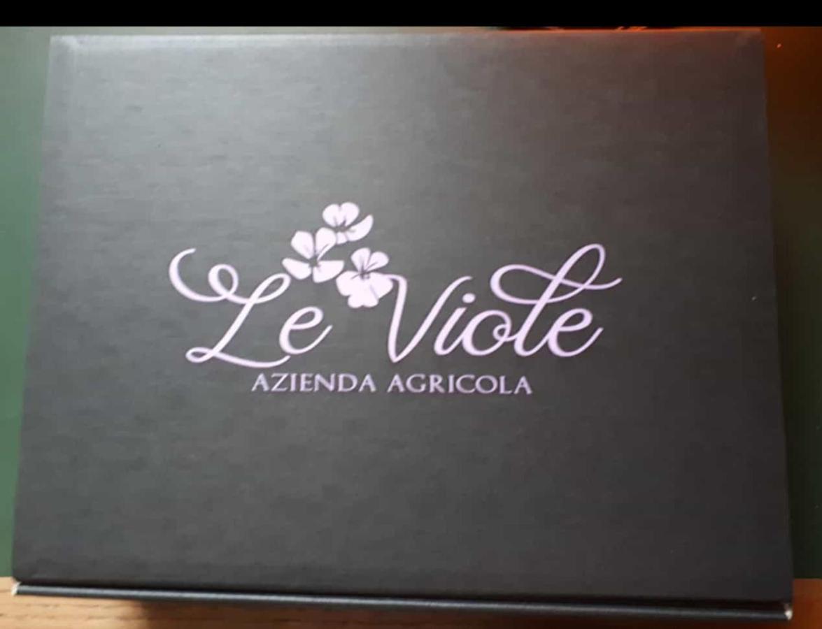 بارولو Agriturismo Le Viole المظهر الخارجي الصورة